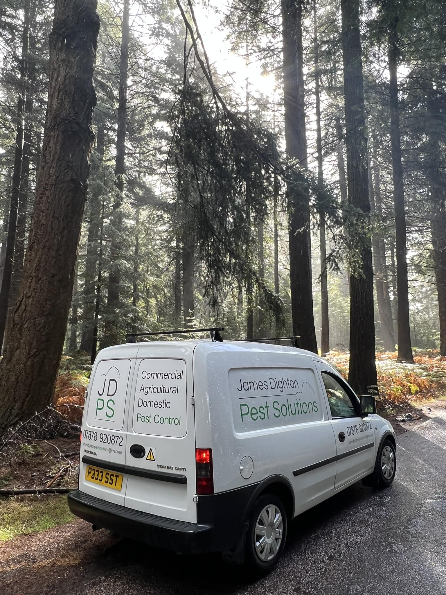 Pest Removal Near Me Peterborough